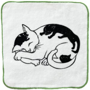 handkerchief